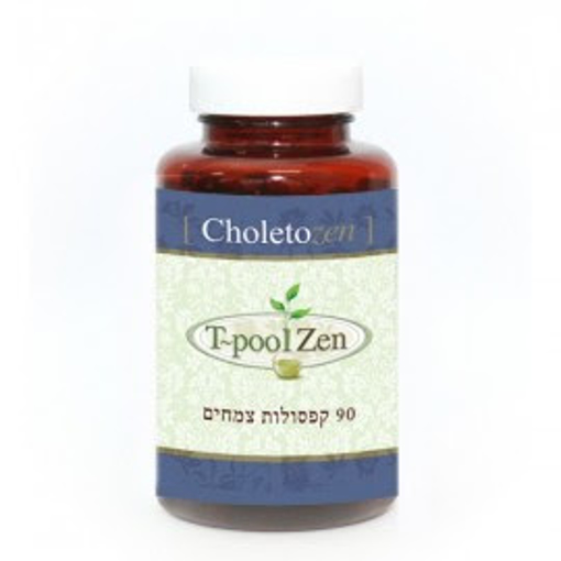 תמונה של CHOLESTRO ZEN - 100ML - צמחי מרפא להורדת כולסטרול בדם זן